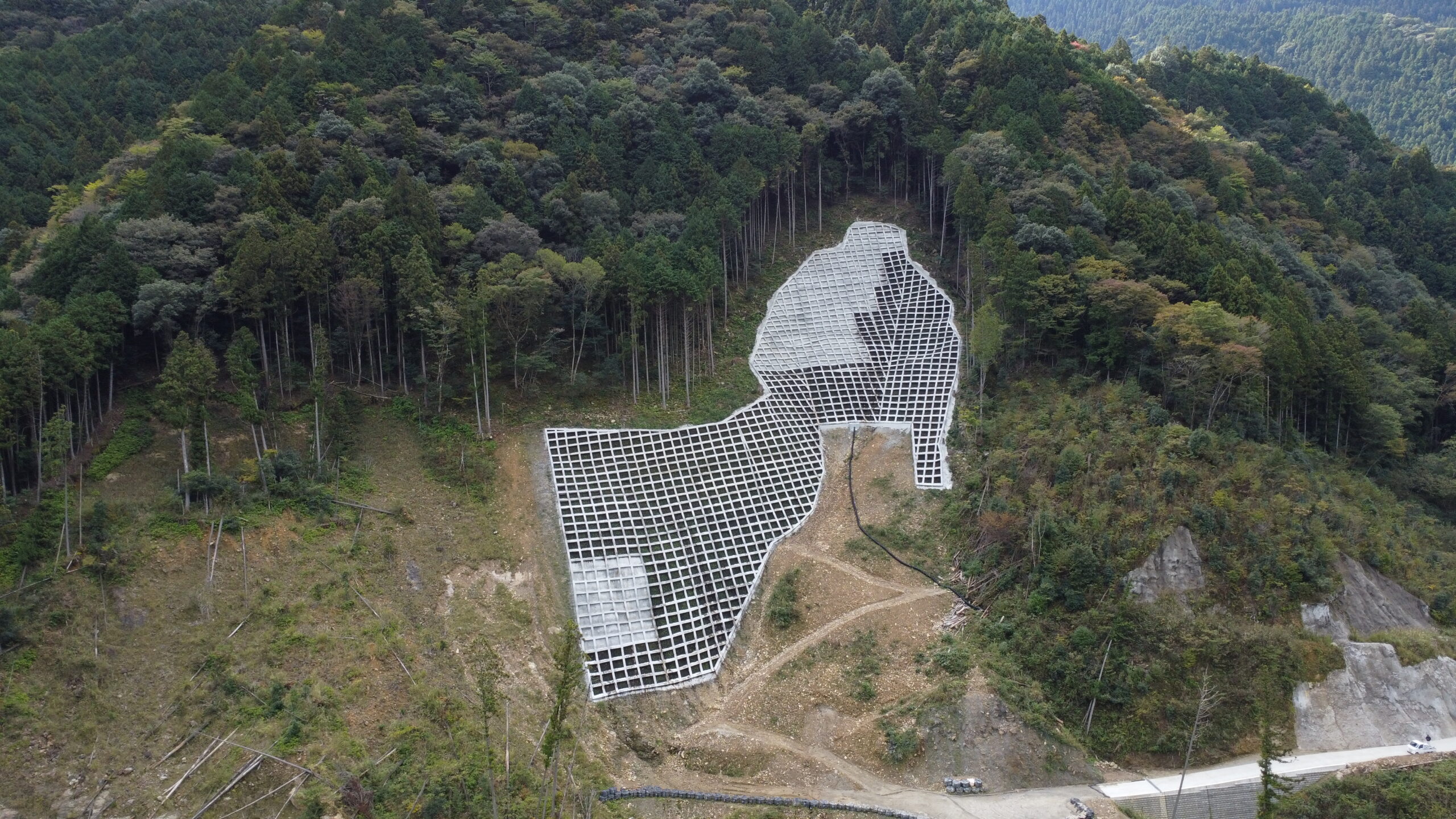 白川作業所にてカーボン・オフセットを実施しました。スライド01