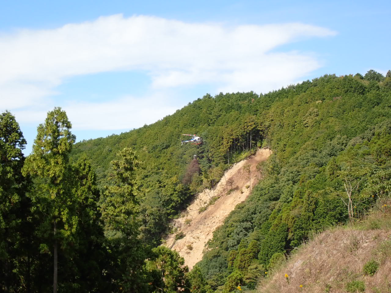 柿木山作業所でカーボン・オフセットを実施しました。スライド01