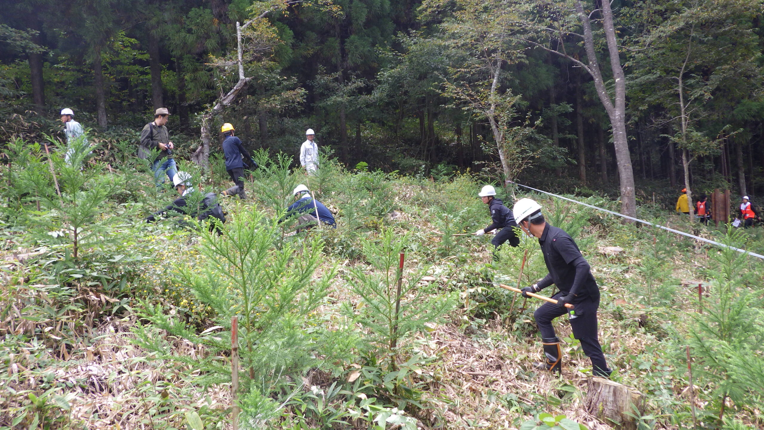 2025年 秋の森林保全活動に参加しました。スライド01