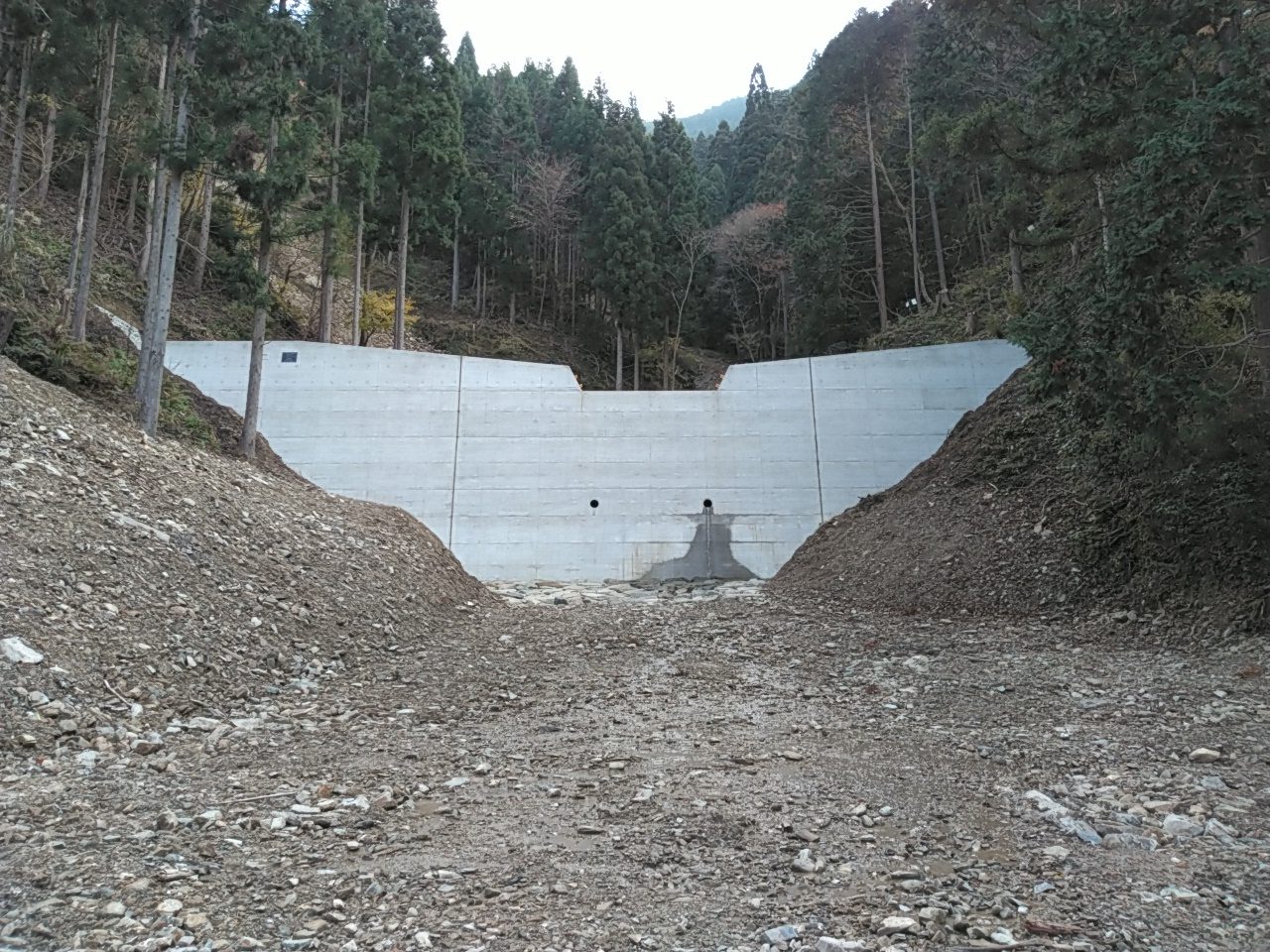 根津木作業所でカーボン・オフセットを実施しました。スライド02